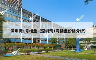 深圳湾1号楼盘（深圳湾1号楼盘价格分析）