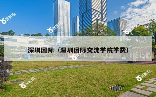 深圳国际（深圳国际交流学院学费）