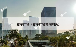 君子广场（君子广场舞闯码头）