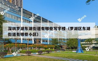 深圳罗湖东湖街道有哪些写字楼（罗湖区东湖街道有哪些小区）