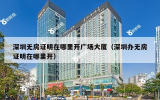 深圳无房证明在哪里开广场大厦（深圳办无房证明在哪里开）