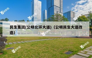 民生集团(公明北环大道)（公明民生大道改造）