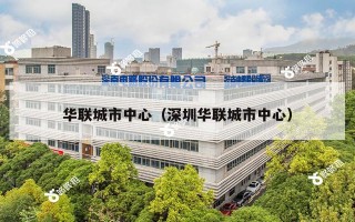 华联城市中心（深圳华联城市中心）