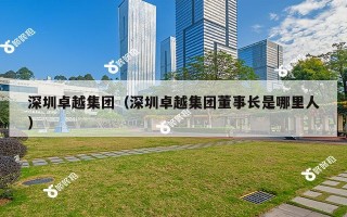 深圳卓越集团（深圳卓越集团董事长是哪里人）