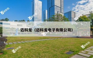 迈科龙（迈科龙电子有限公司）