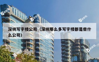 深圳写字楼公司（深圳那么多写字楼都是些什么公司）