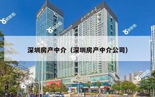 深圳房产中介（深圳房产中介公司）