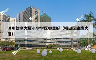 深圳雄鹰大厦小学学区哪里好（福田区雄鹰大厦）