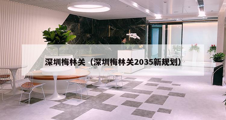 深圳梅林关（深圳梅林关2035新规划）-第1张图片-深圳楼盘简介